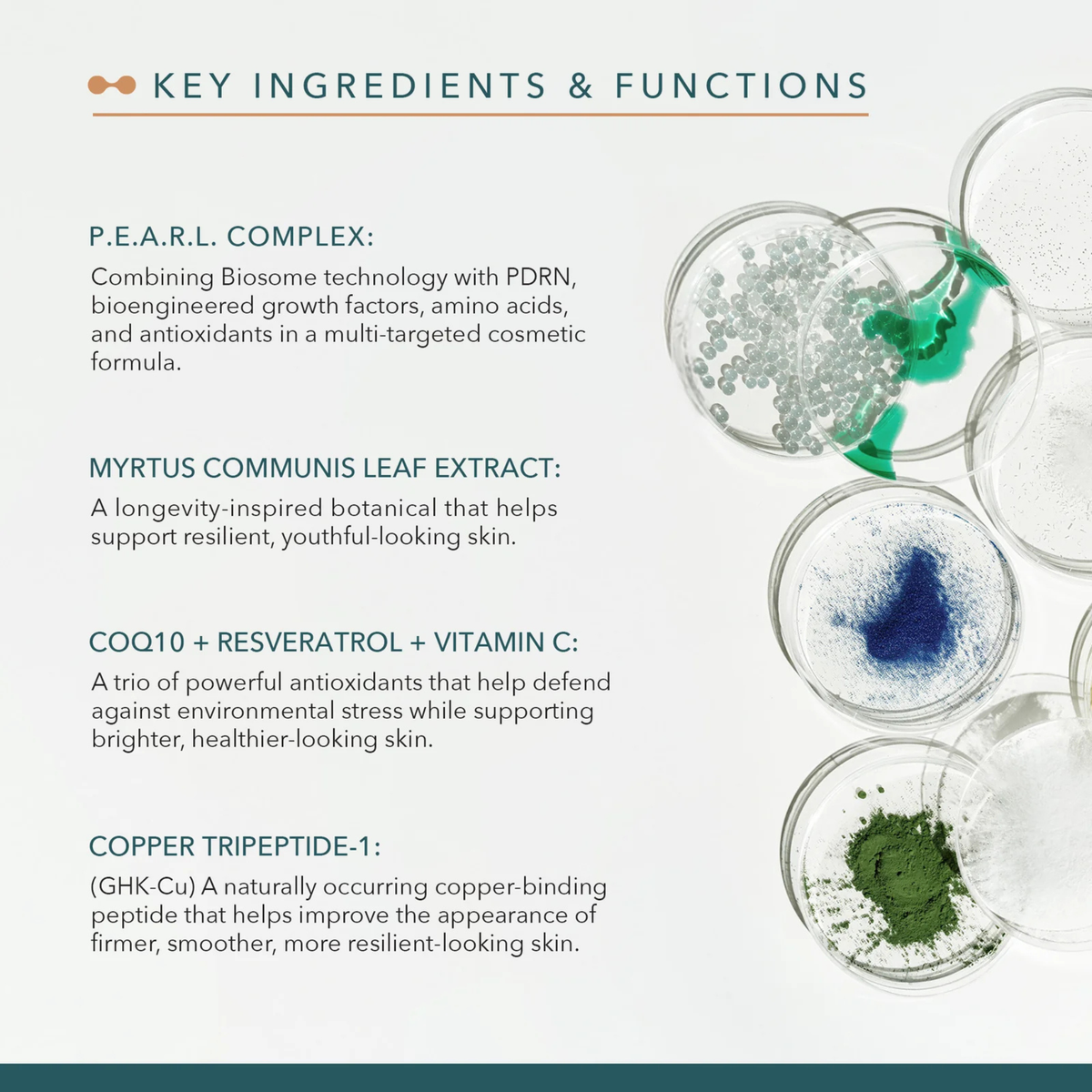 Intensify Serum | AnteAGE MD